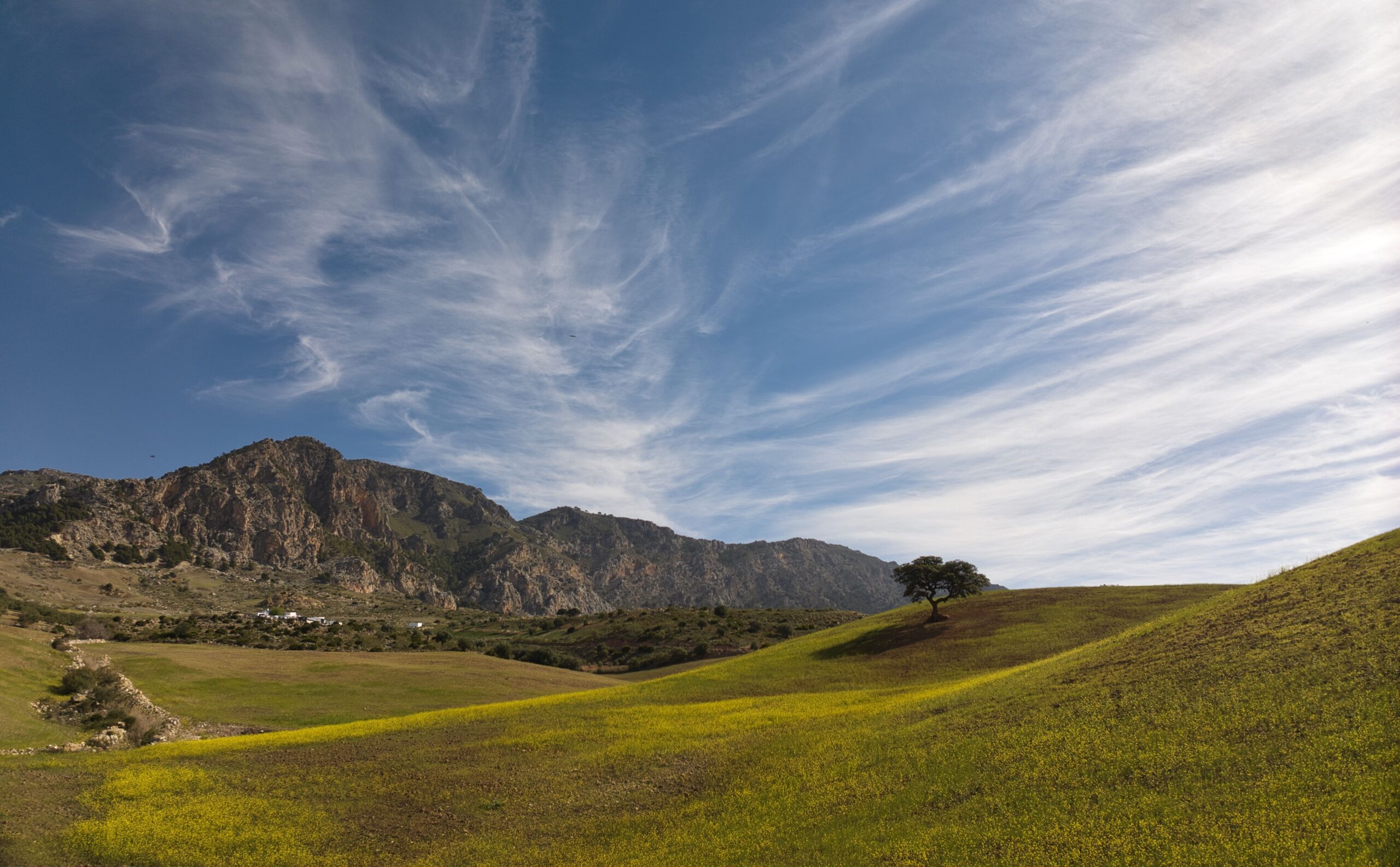 Colinas y campos de cultivo en la provincia de Málaga